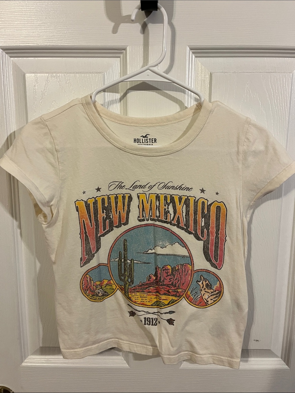 Hollister Cream Graphic Tee with Blue & Yellow Desert Print